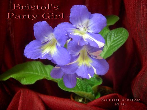 Bristol's Parti Girl.JPG