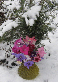 020202.gif