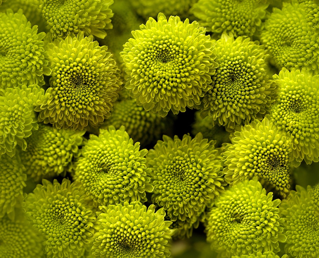 0_6d1c9_1640b0c_XXL.jpg