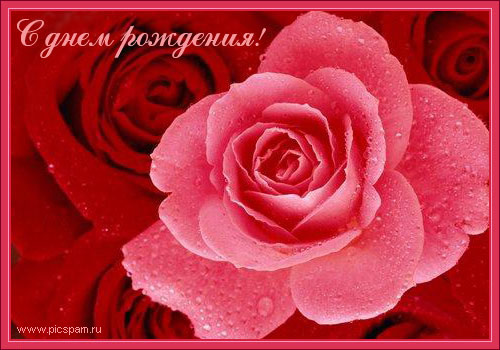 flor-013.jpg