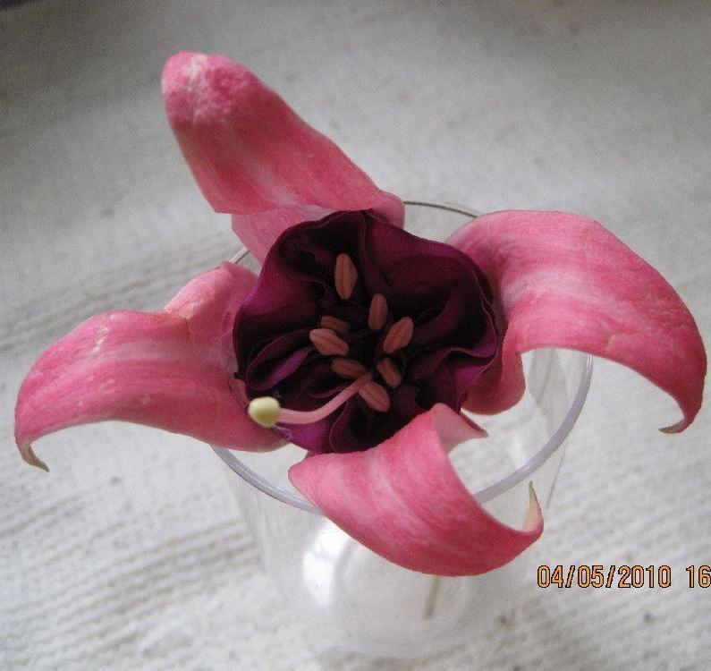 glowing lilac - flower.jpg
