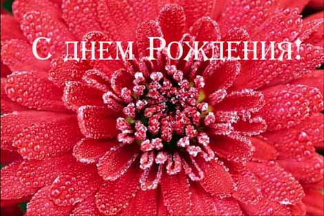 cards420012 астра кр. с кап..jpg
