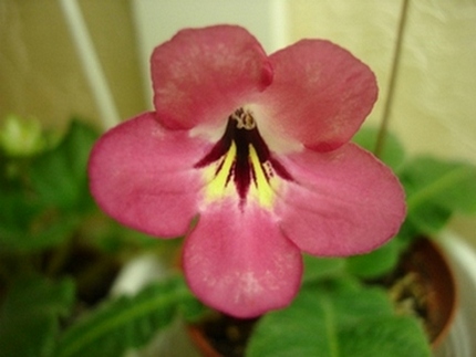 DSC04742.jpg