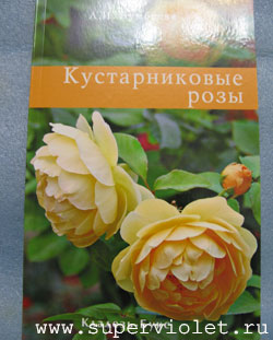 kniga-kust-rosy.jpg