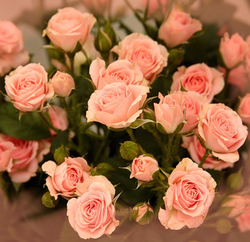 0_6f8c5_a8c65601_-1-L.jpg