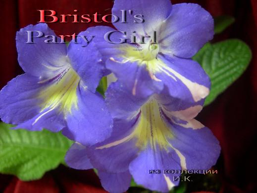 Bristol's Party Girl(фрагм.).jpg