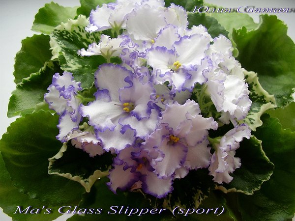 Ma's Glass Slipper 1 ориг под70.jpg