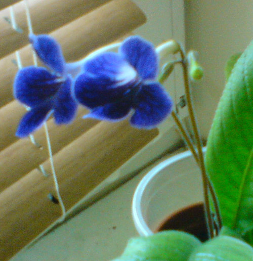 DSC01174.jpg